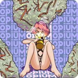 Купить бошки Оренбург